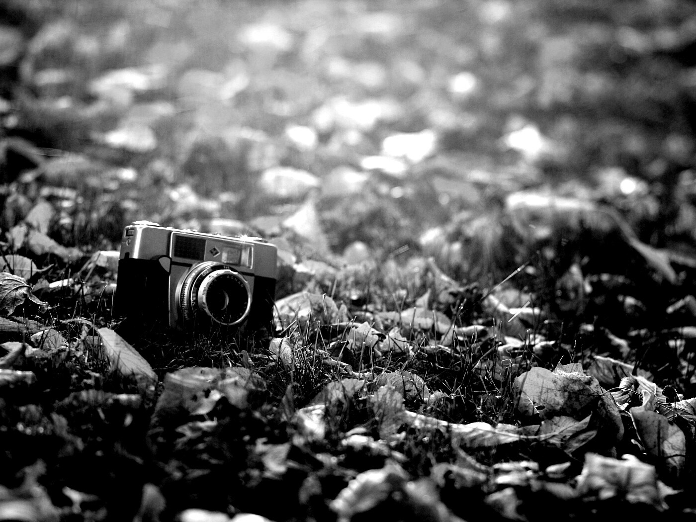 Старый фотоаппарат в траве обои