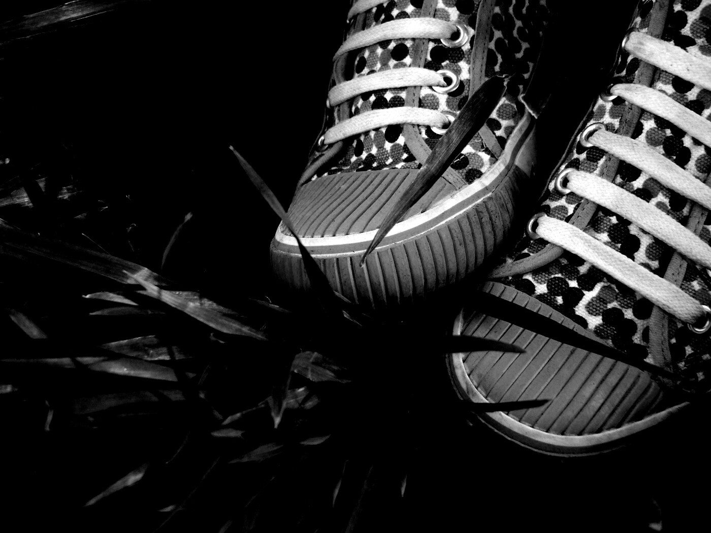 Желтые кеды в горошек обои