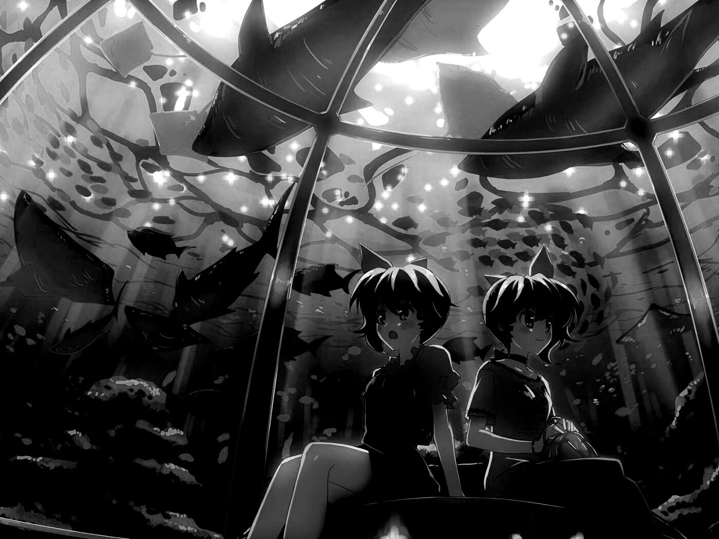 В океанариуме обои