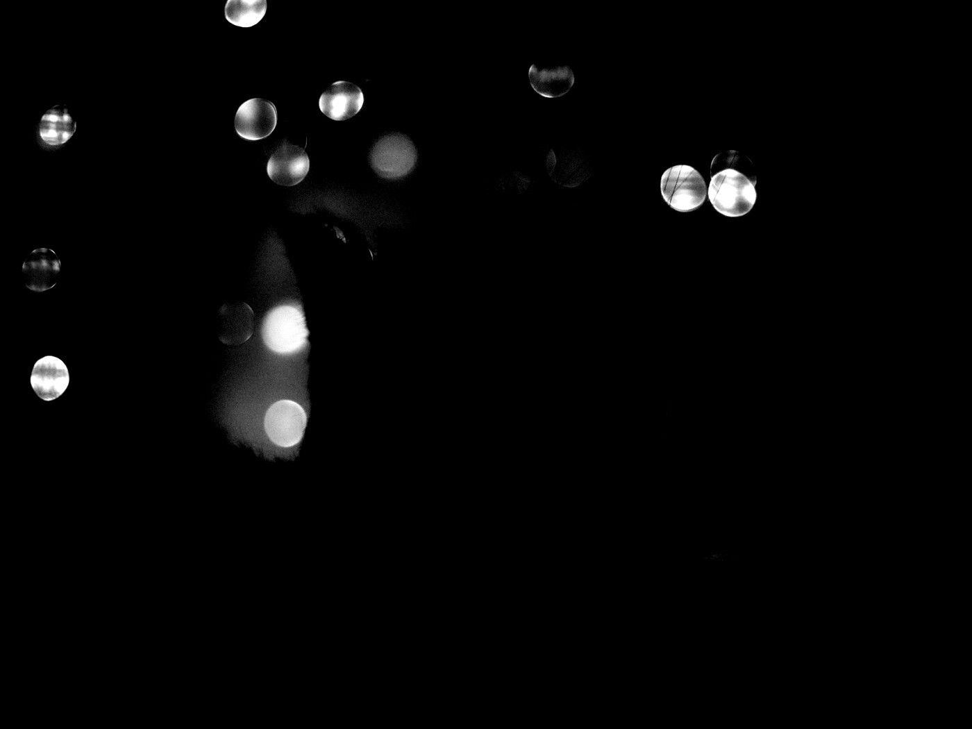 Силуэт черного кота обои