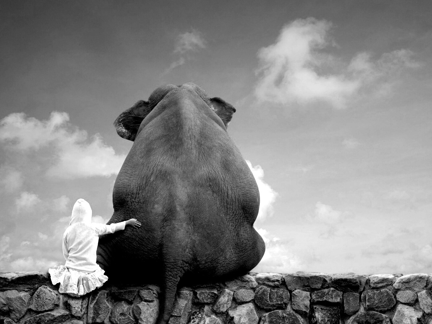 Девочка и слон обои