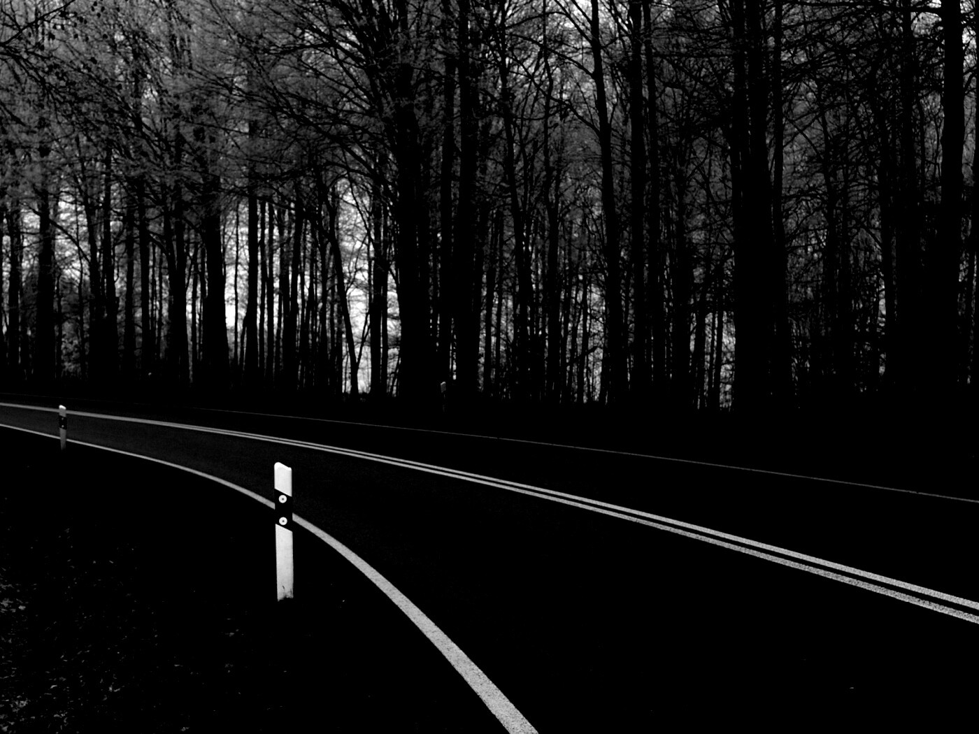 Дорога в осеннем лесу обои