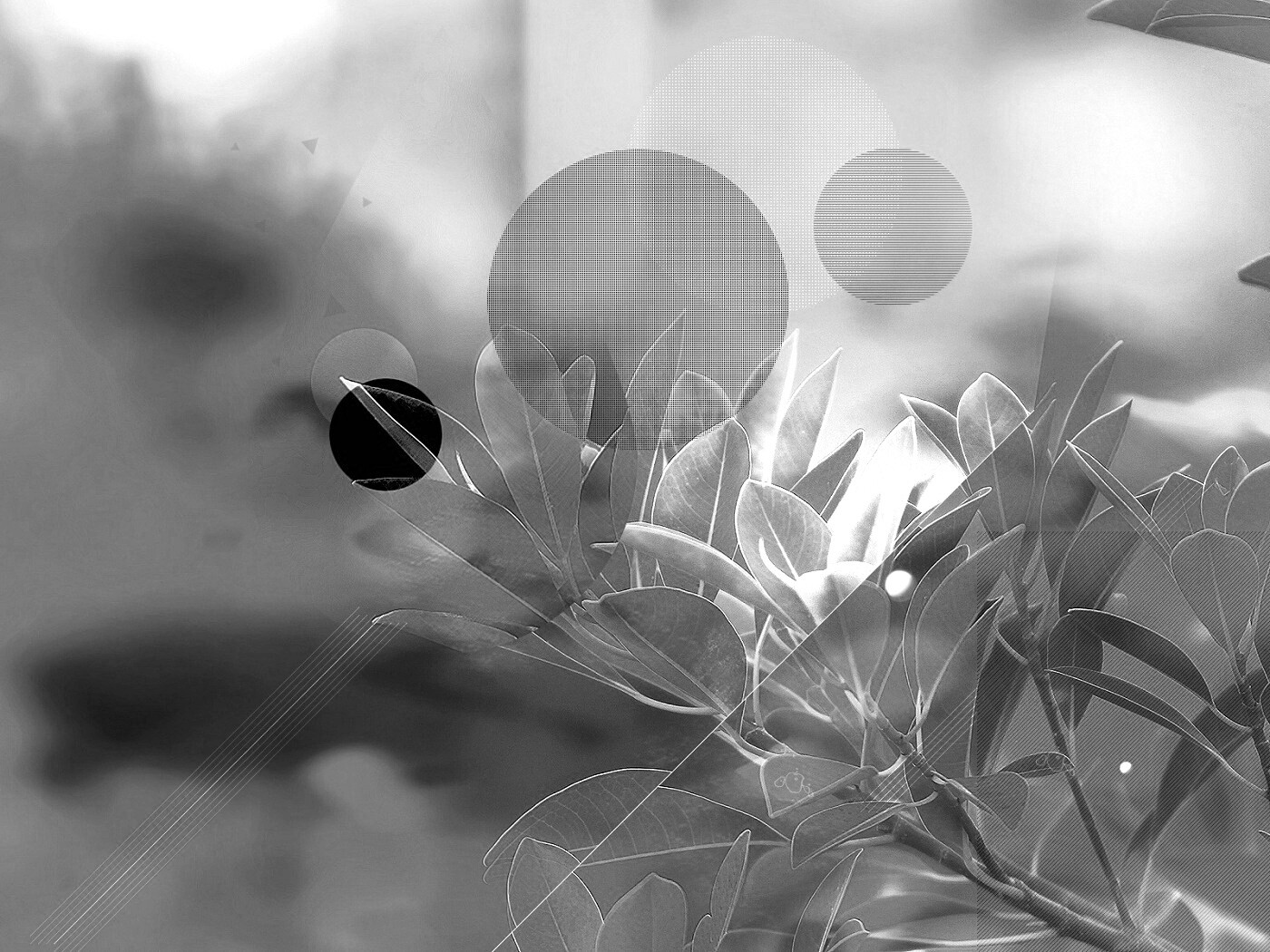 Синий фильтр с кргуами на фото листьев обои