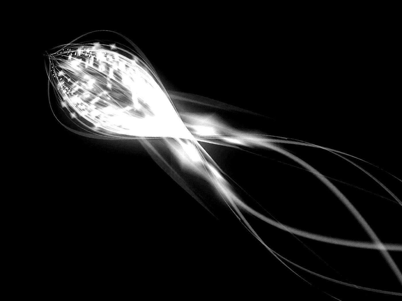 Сгусток красных линий обои