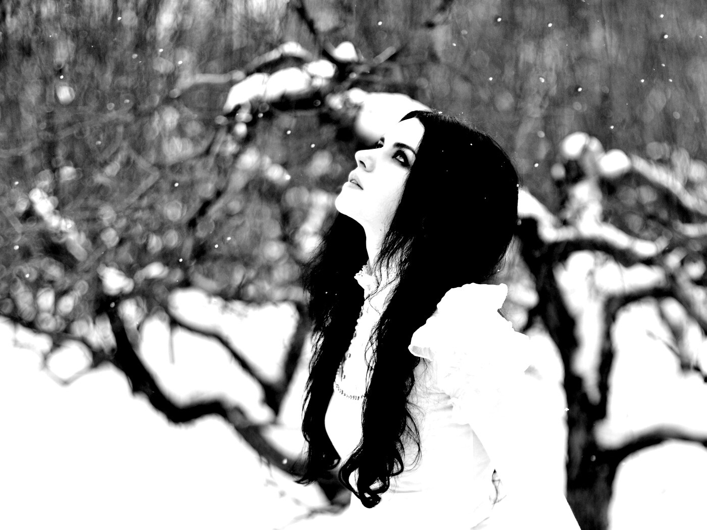 Белоснежная леди обои