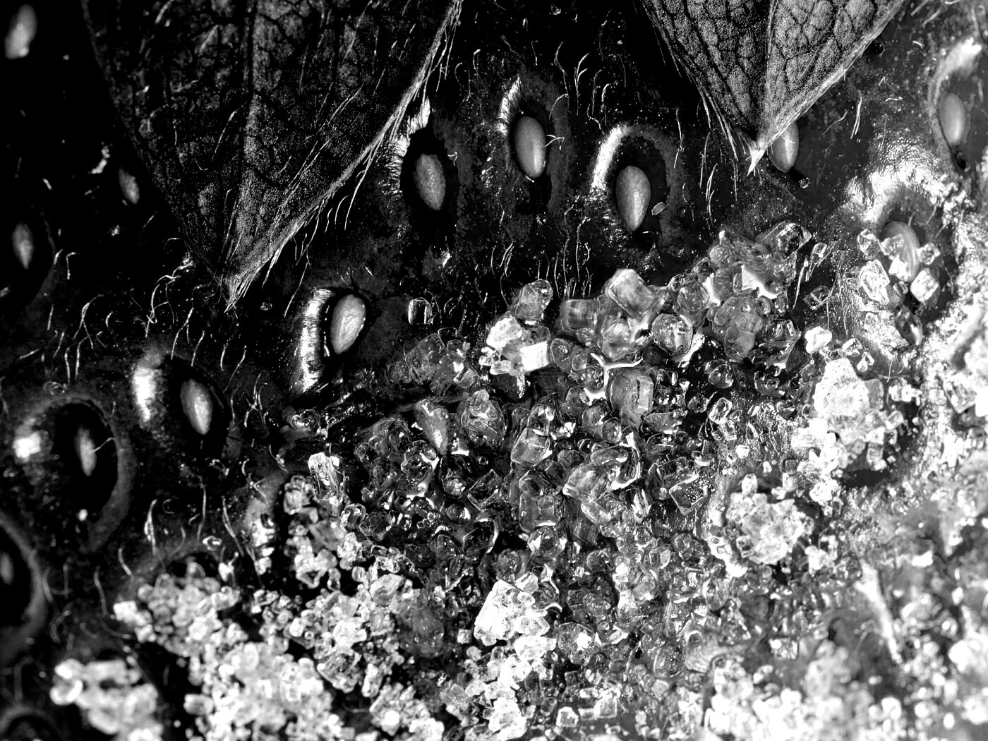 Клубника в сахаре обои