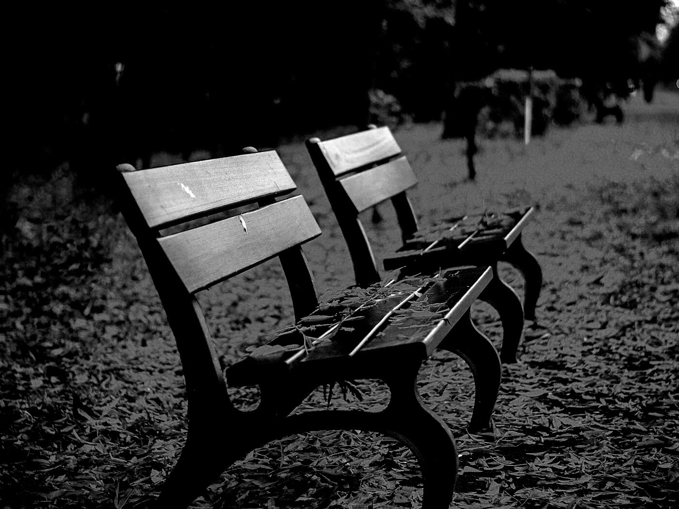 Лавочки в осеннем парке обои