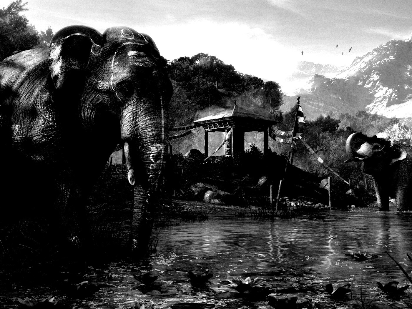 Слоники у воды обои