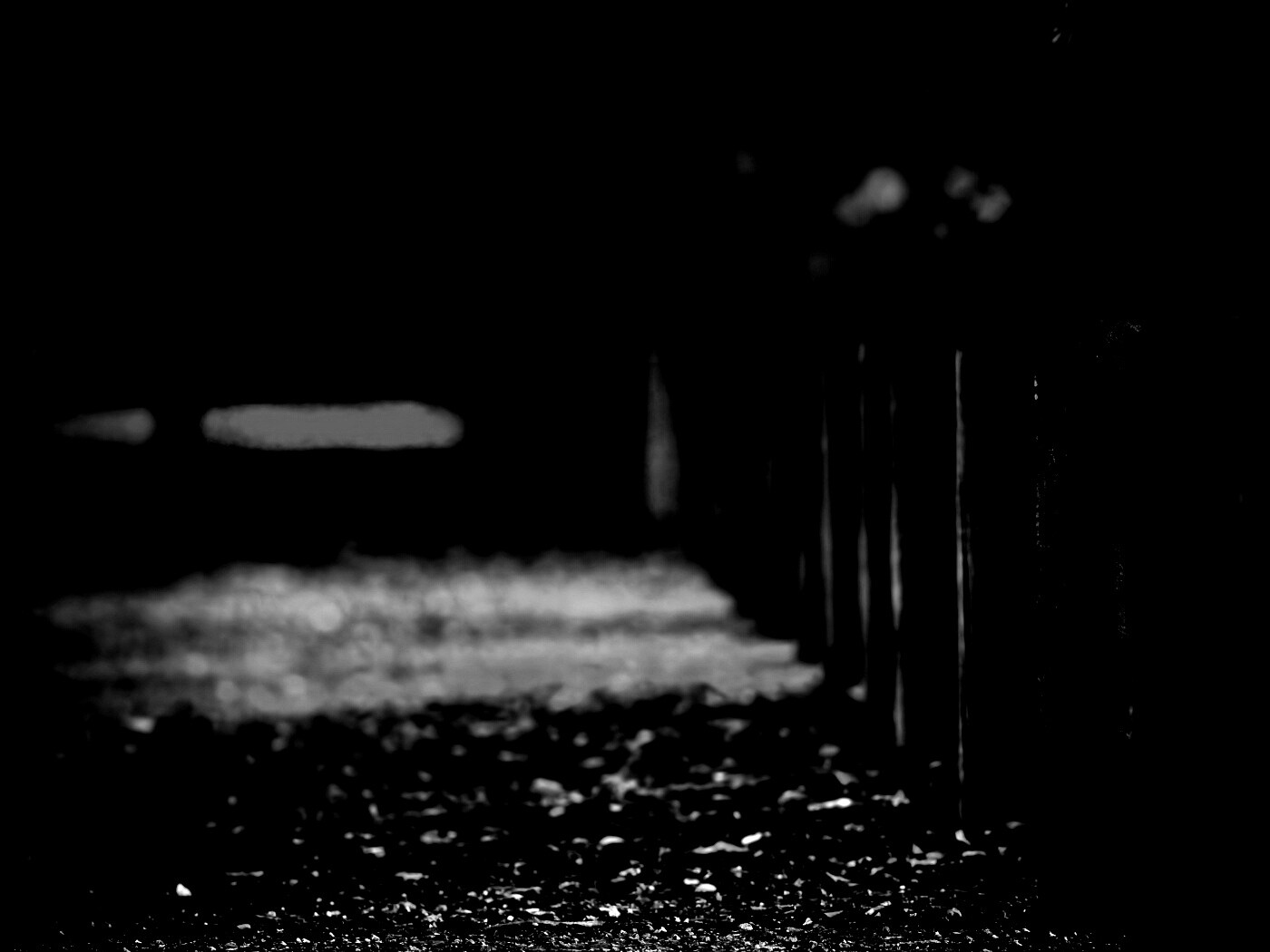 Аллея усеянная листвой обои