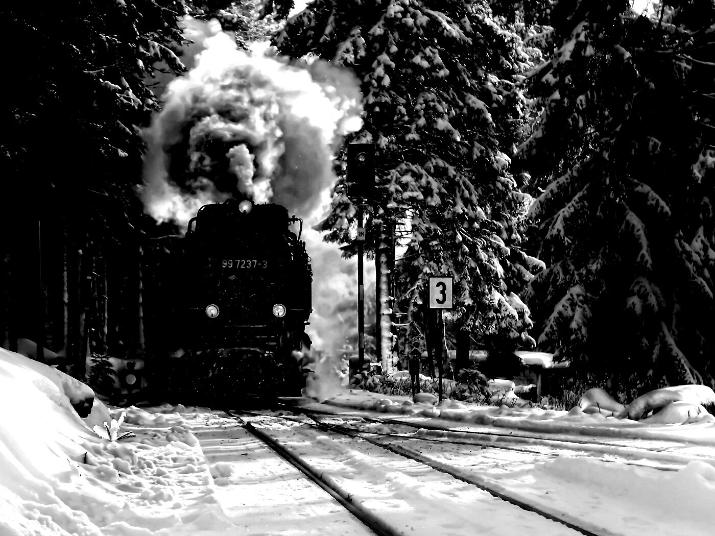 Паровоз в димнем лесу обои