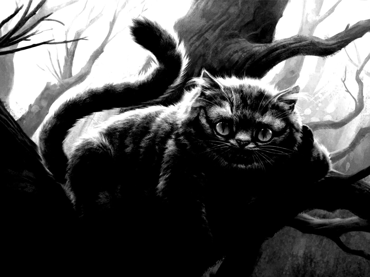 Чеширский кот обои