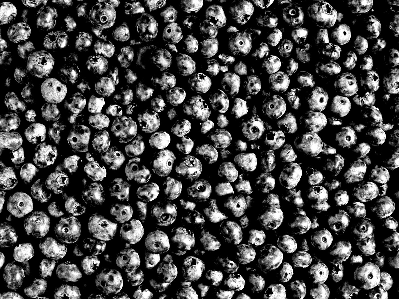 Черника обои