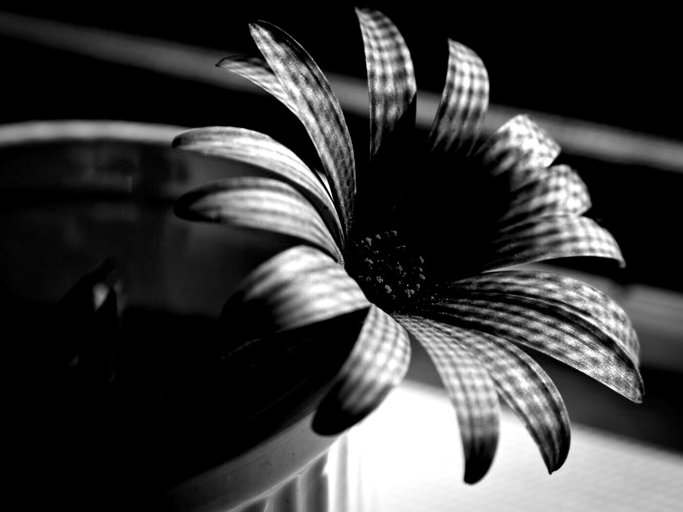 Сиреневый цветок в стакане обои