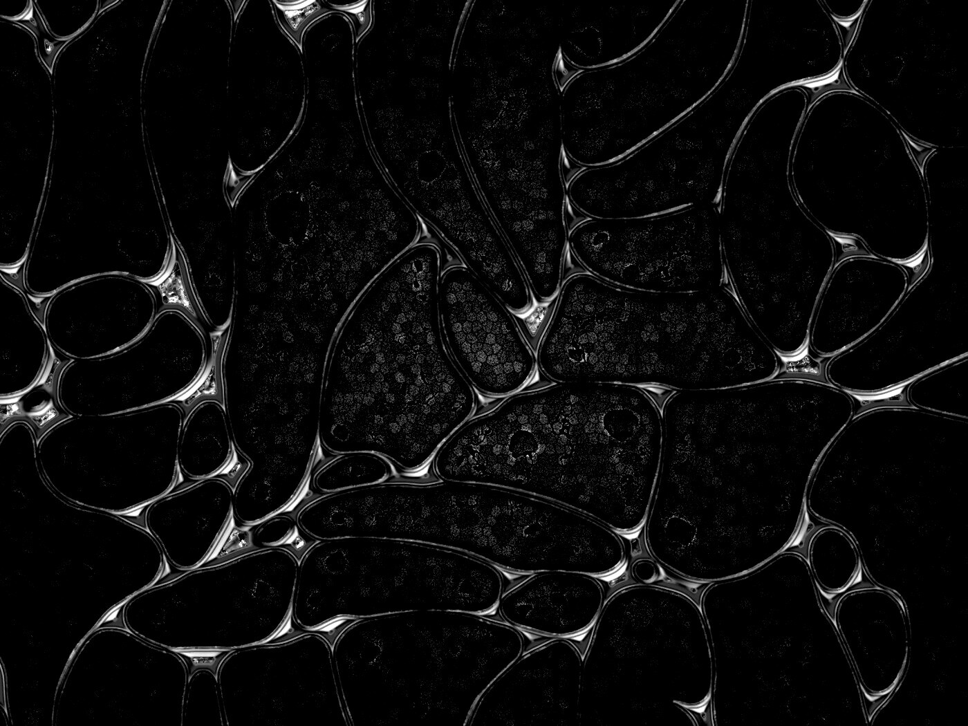 Абстрактные обои обои