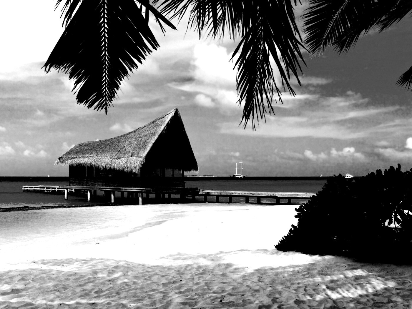 Бунгало обои