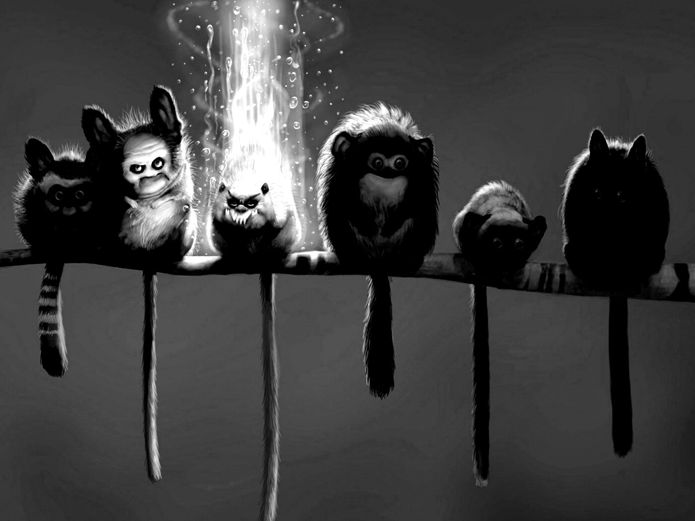 Существа на ветке обои