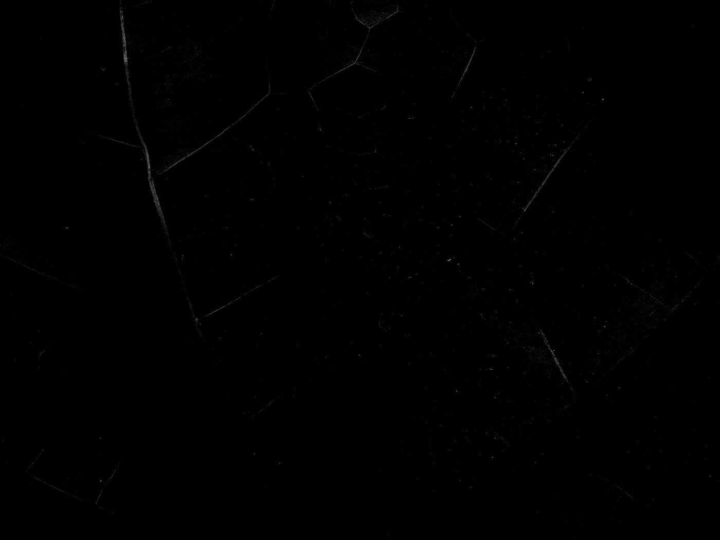 Макро зеленый лист обои