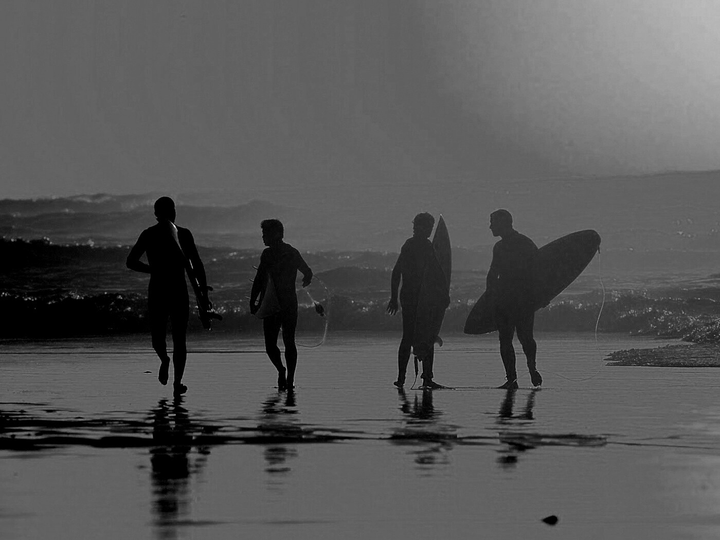 Серфингисты обои