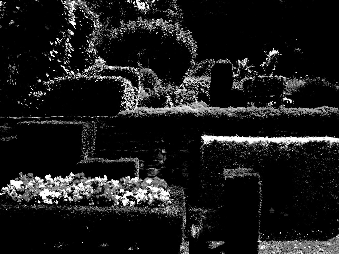 Декоративный сад обои