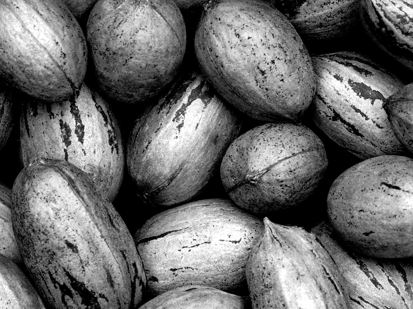 Грецкие орехи обои