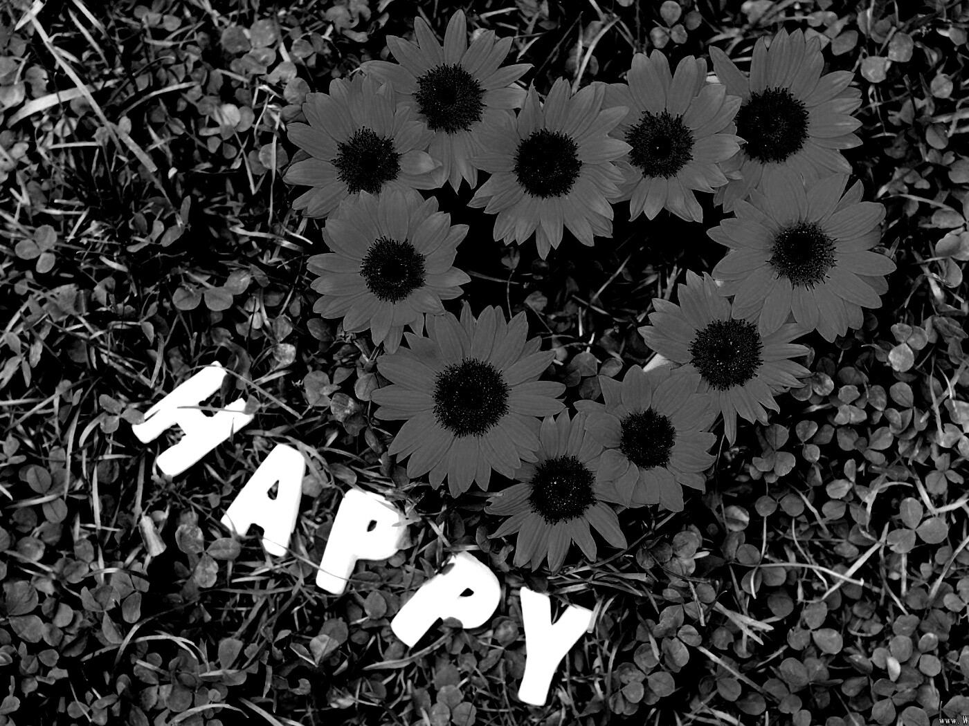 Радость обои