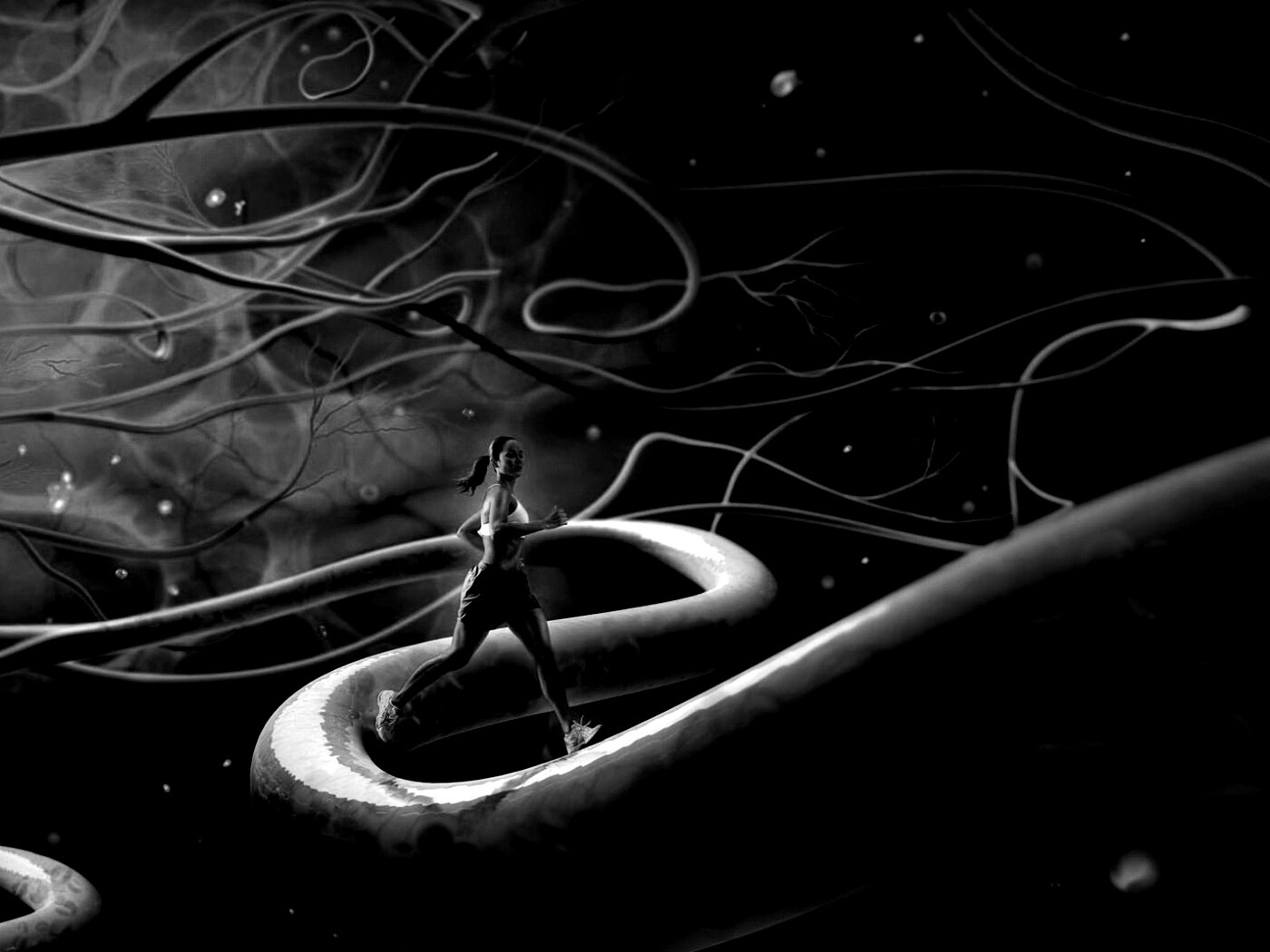 Бег крови обои