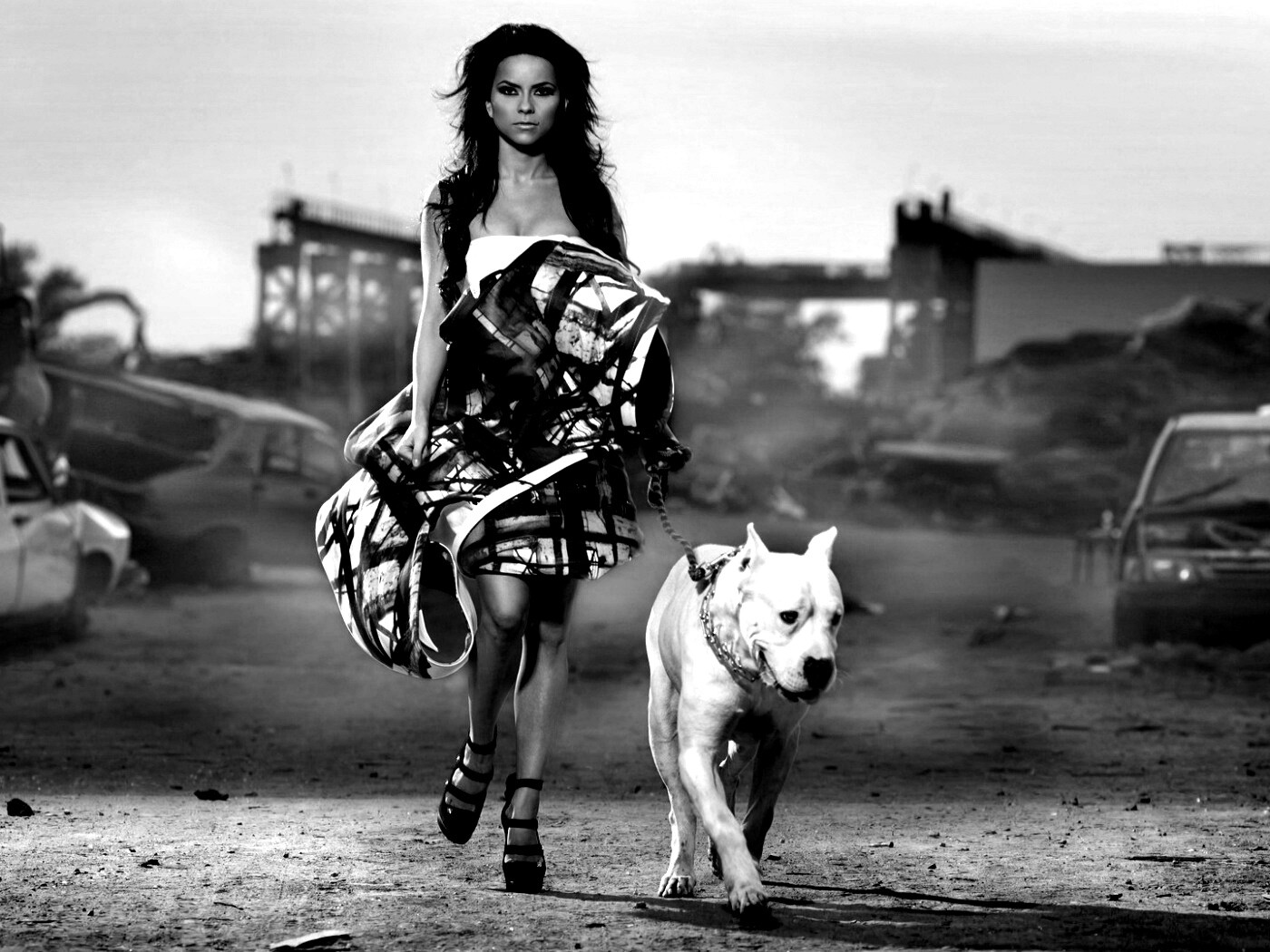 Девушка с питбулем обои