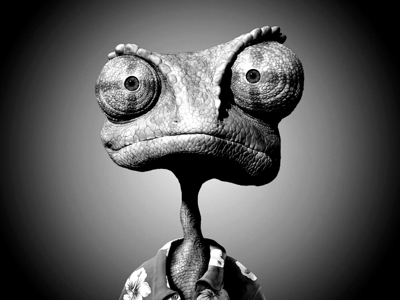 Ранго на красном фоне обои