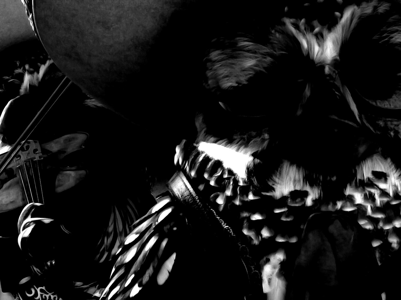 Совы-мариачи из Ранго обои