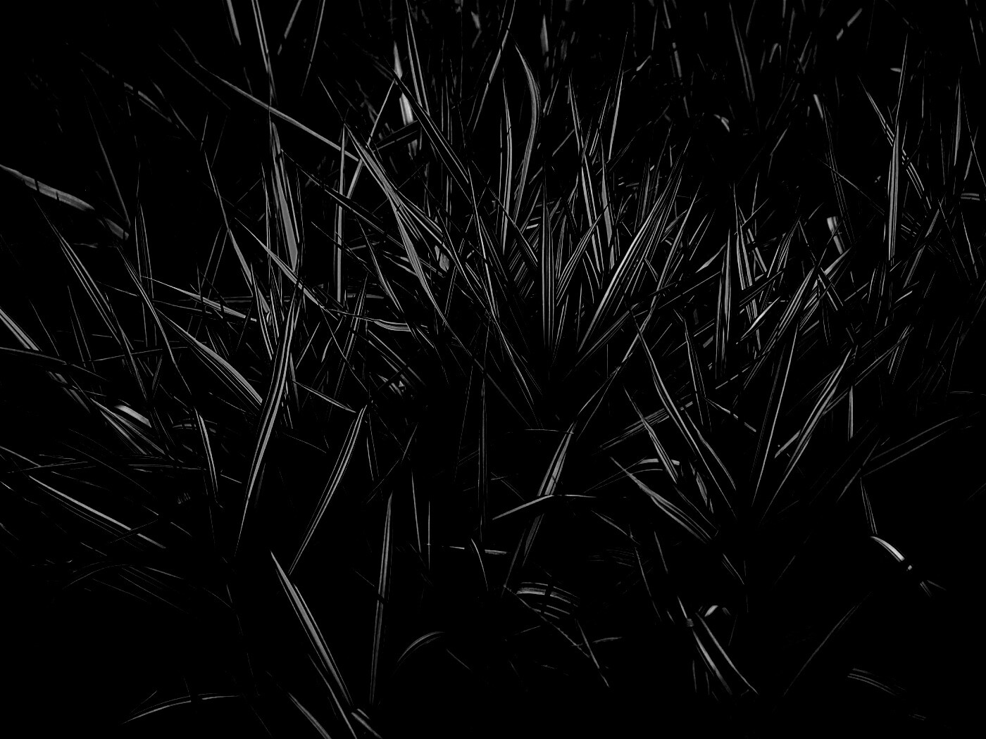 Дикая трава обои