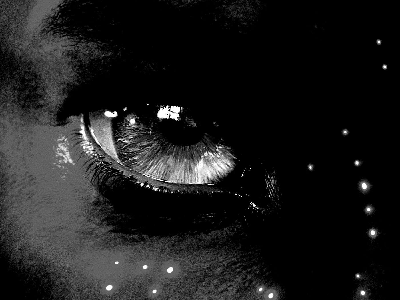 Смотрит прямо в душу обои