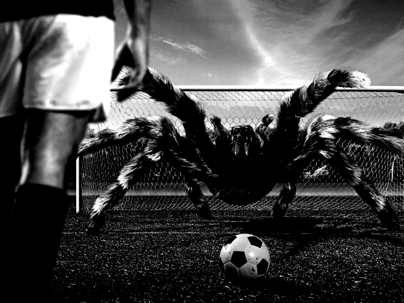 Вратарь обои