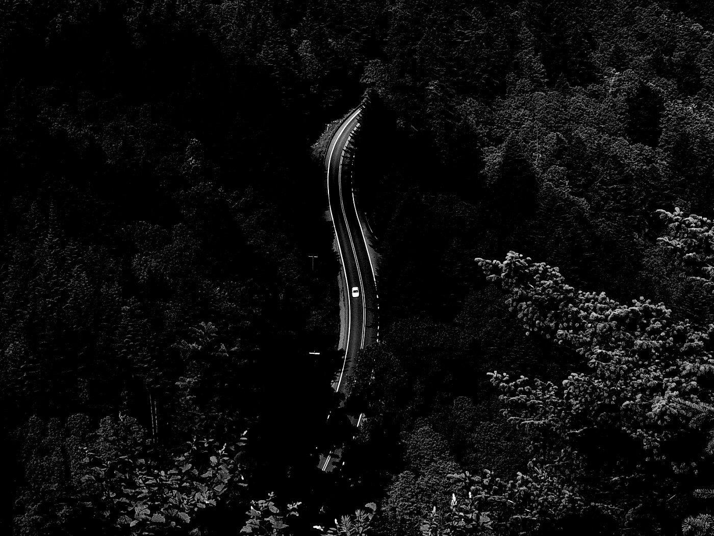 Лесная трасса обои