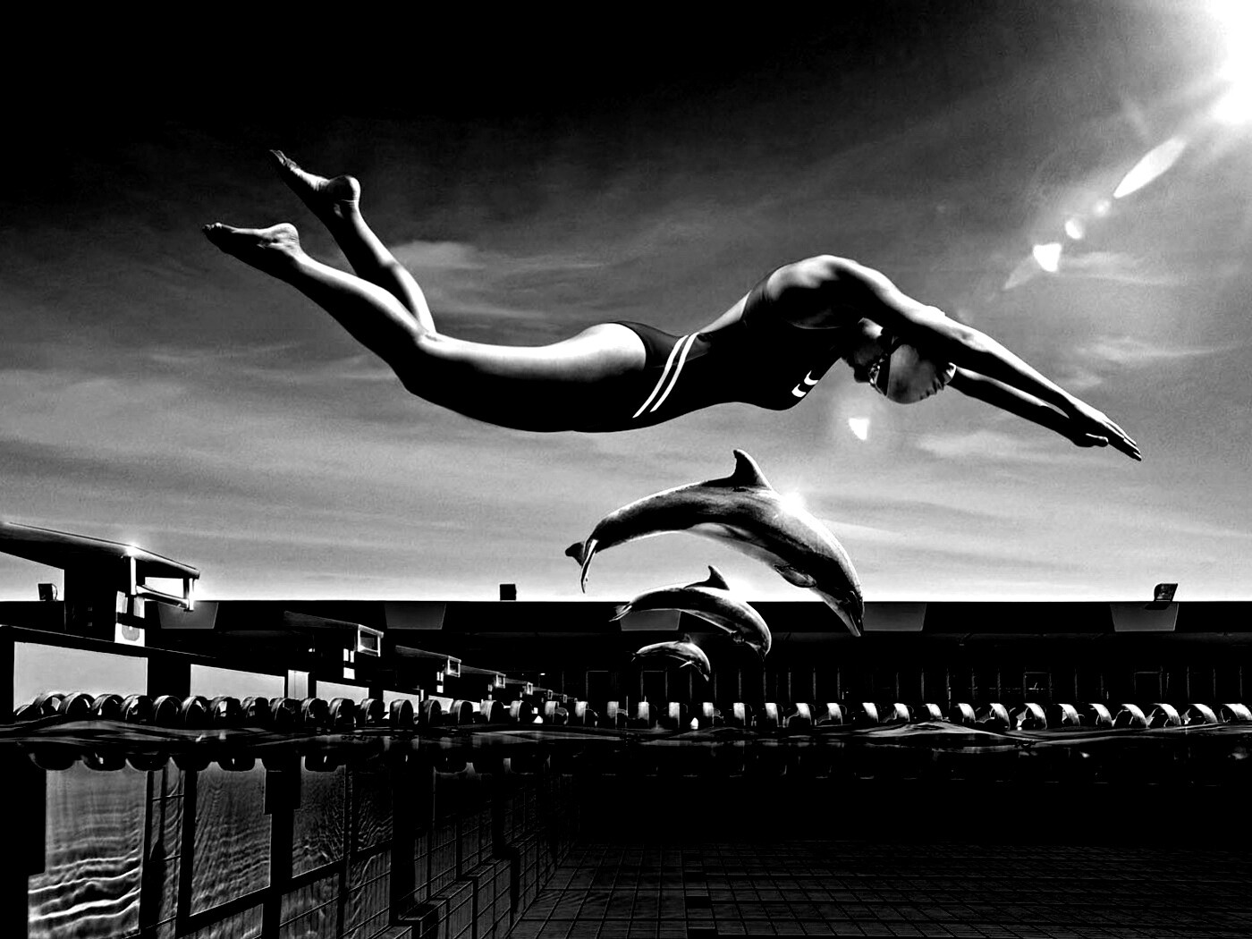 Соревнование обои