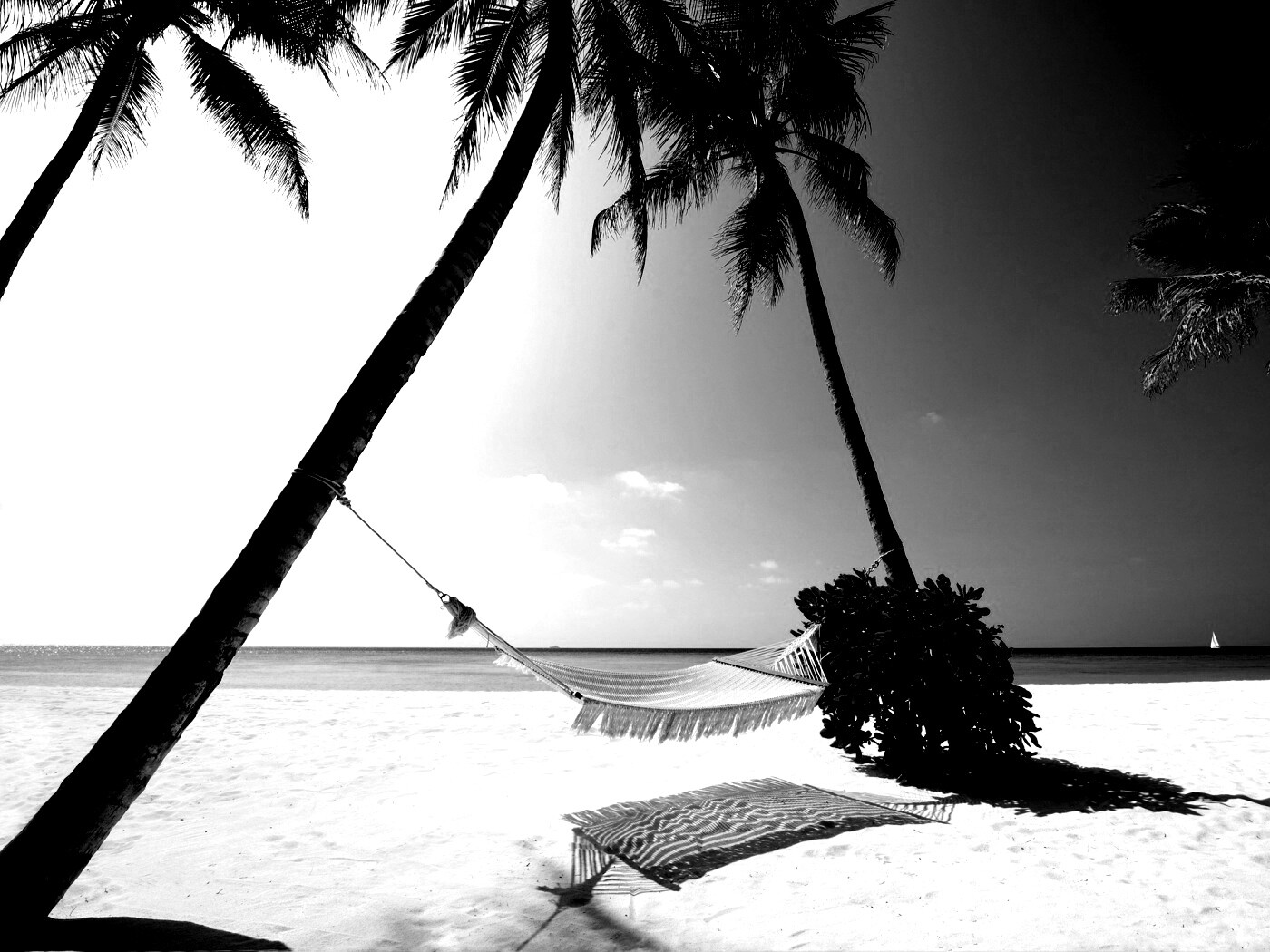 Тропический рай обои