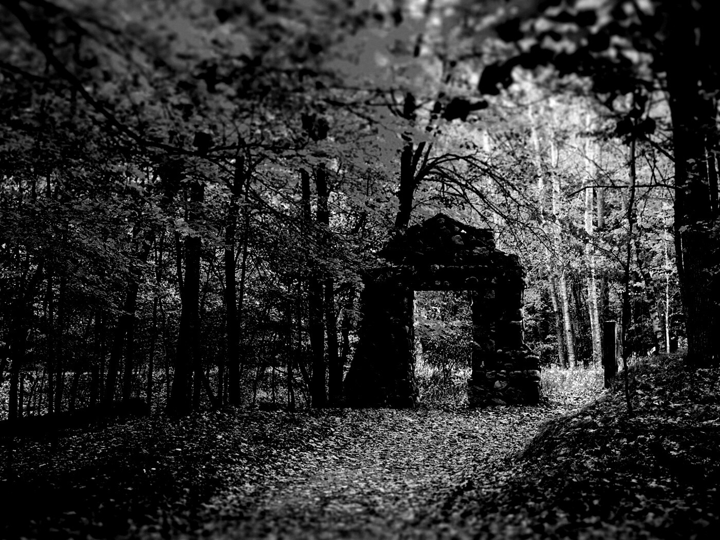 Каменная арка в осеннем лесу обои