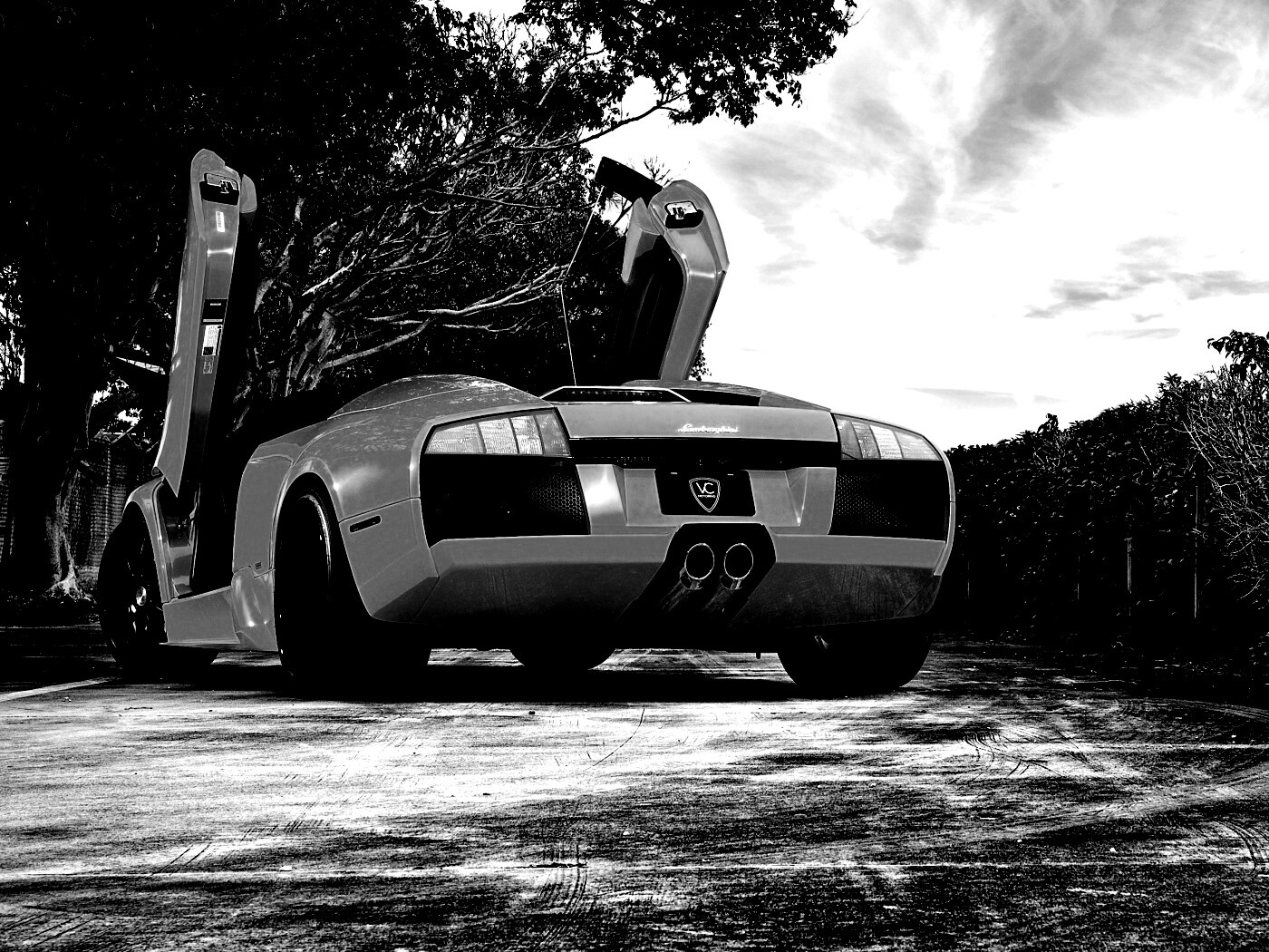 Оранжевая Мюрселаго обои