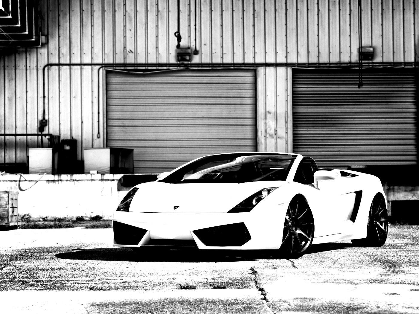 Белый спорткар Ламборгини Галлардо обои