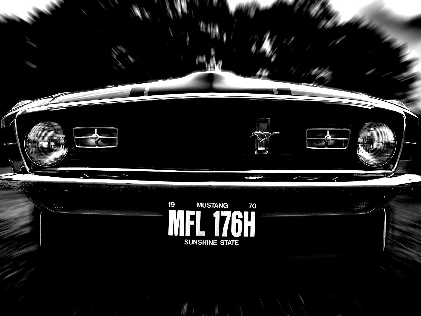 Мустанг обои