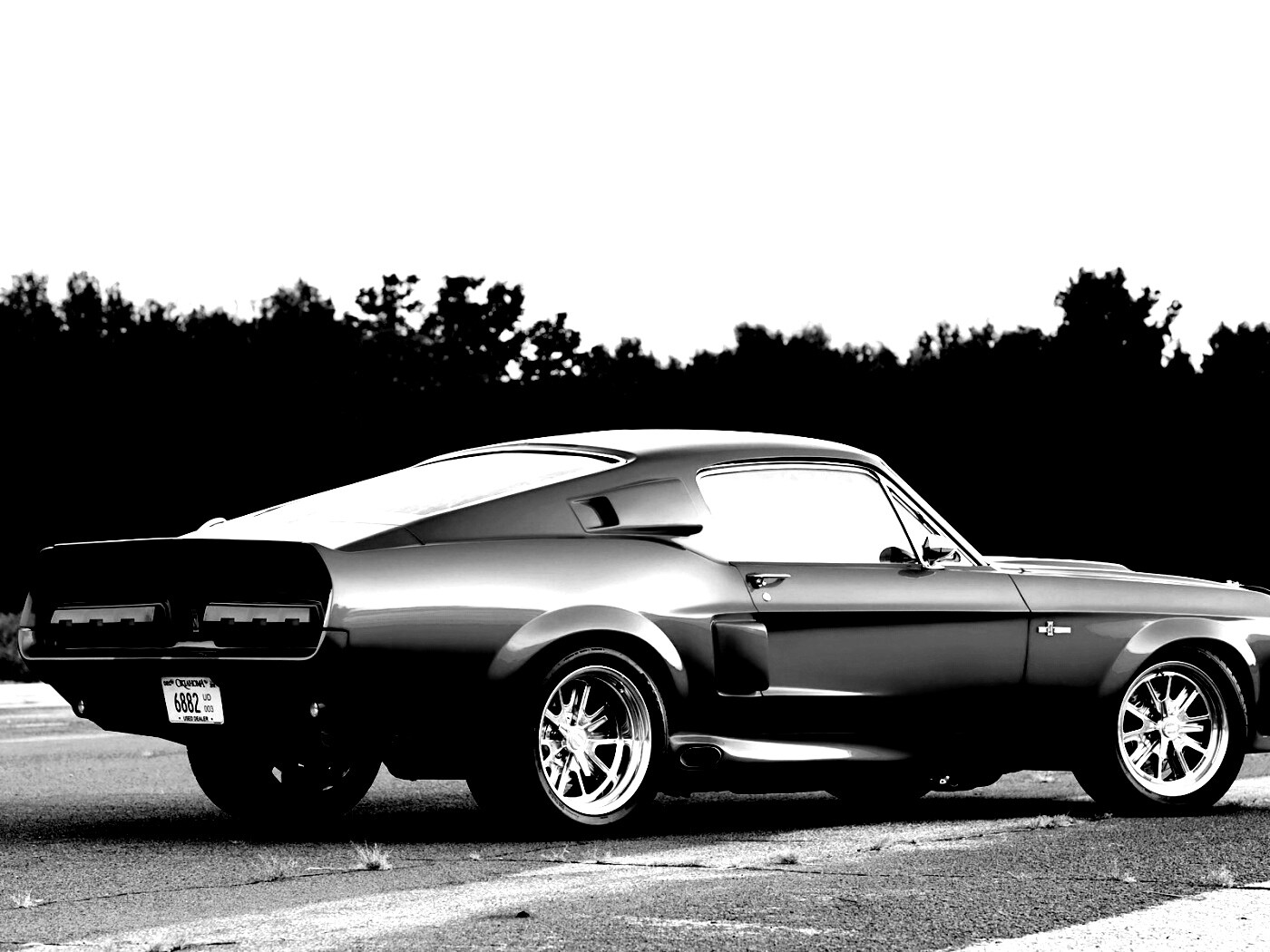 Shelby GT500 CR обои