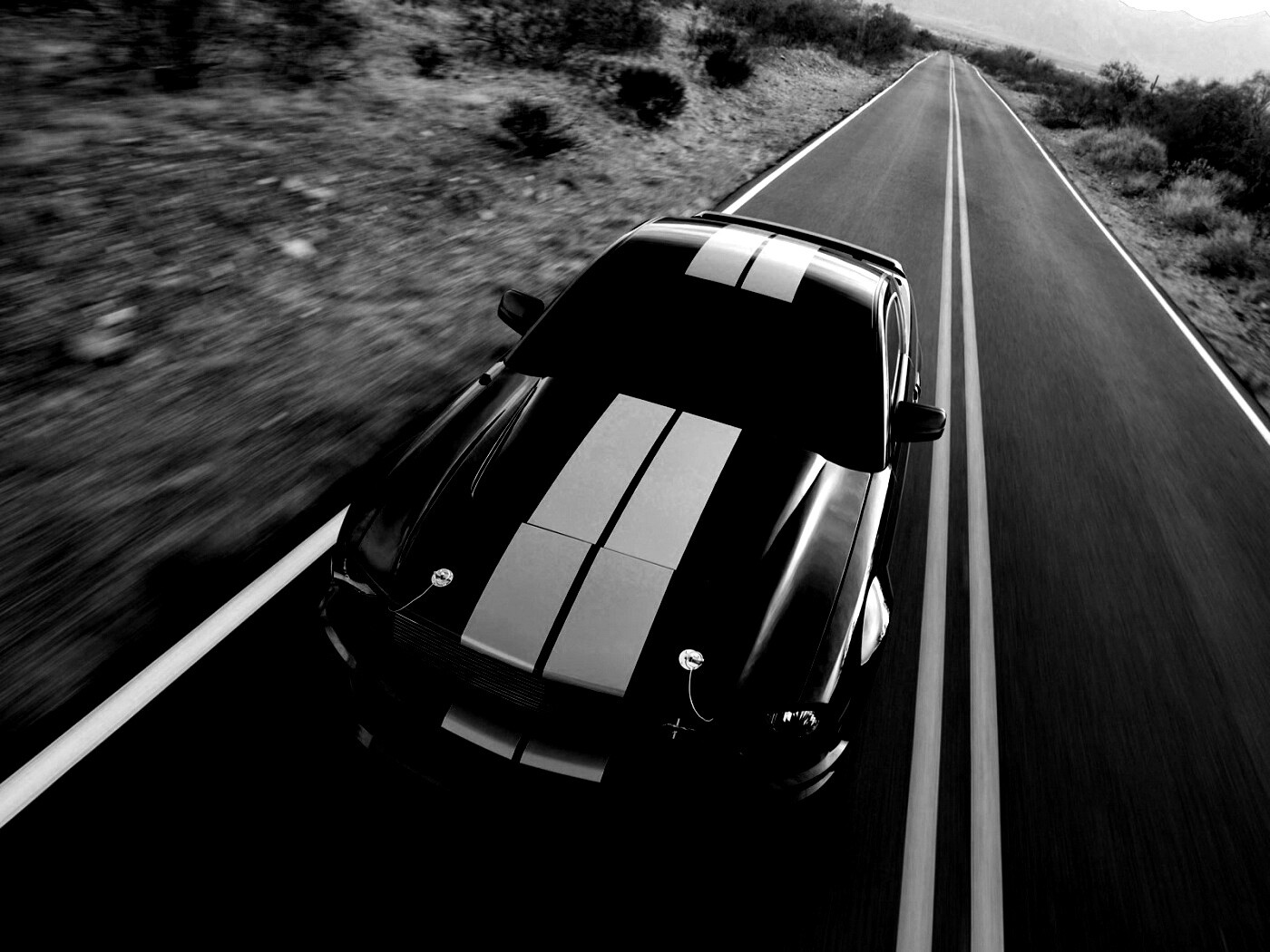 Ford Mustang  с гоночными полосками обои