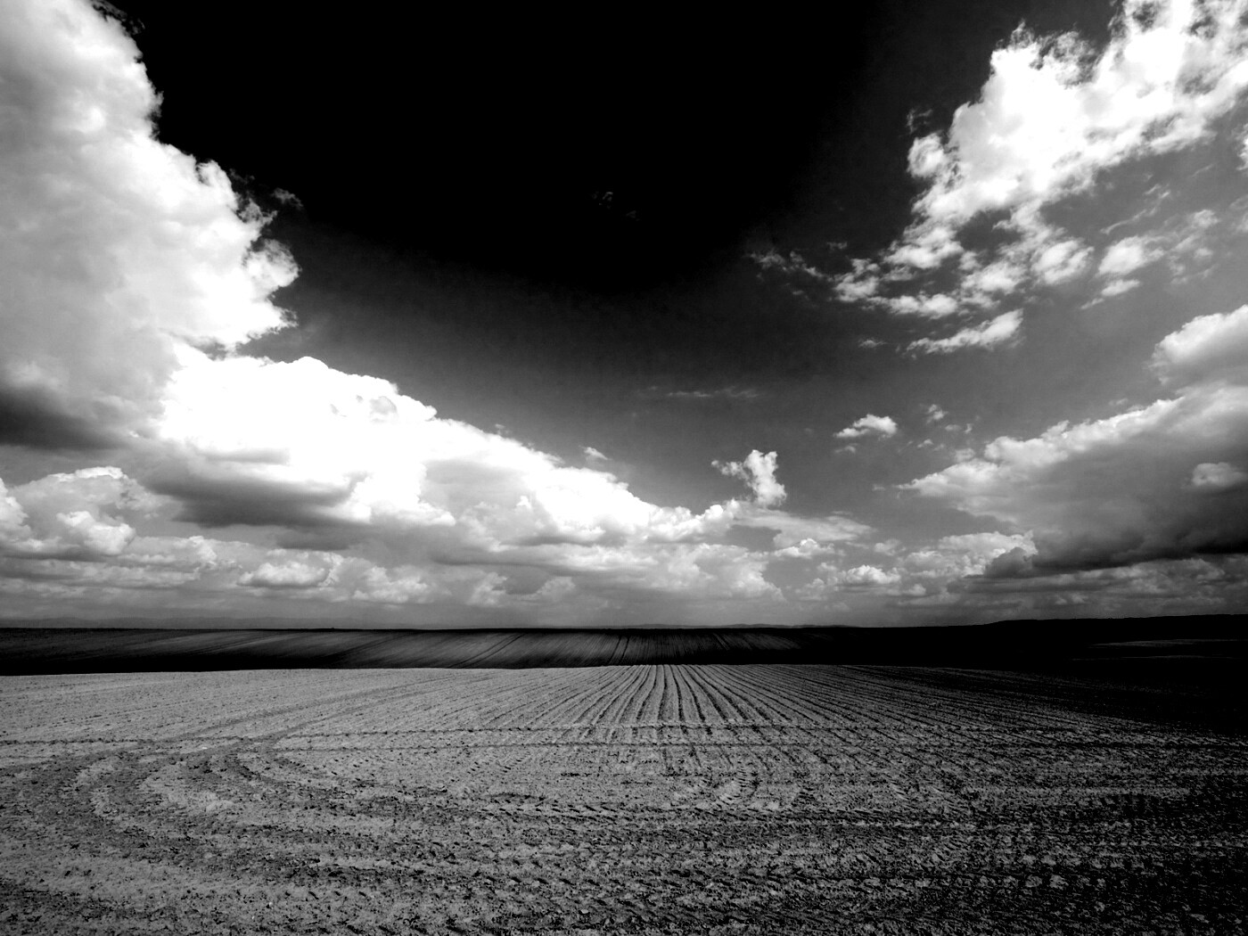 Незасеянное поле обои