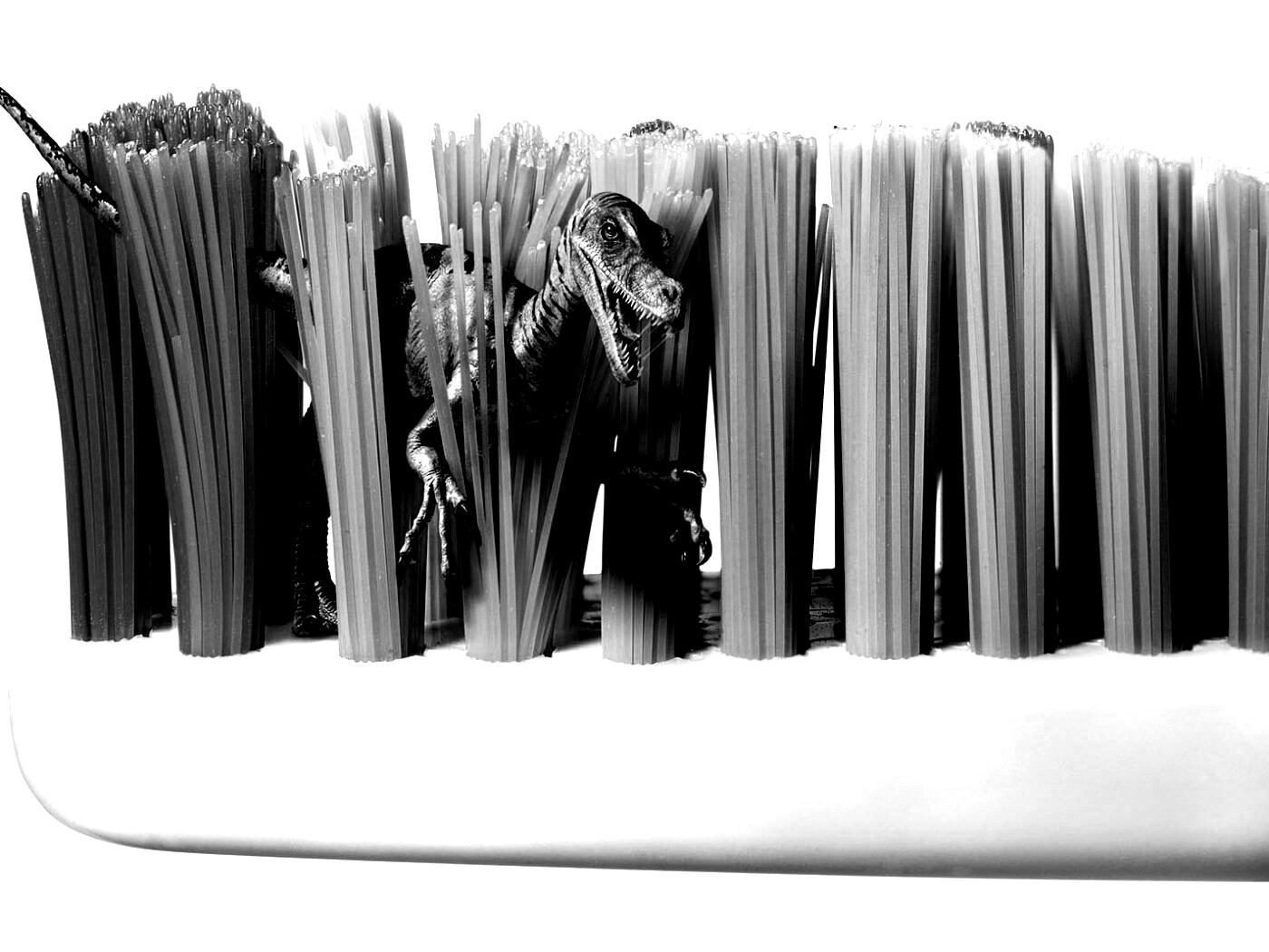 Кариозные монстры снова в деле обои