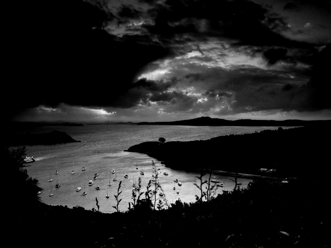 Waiheke Island, New Zealand обои