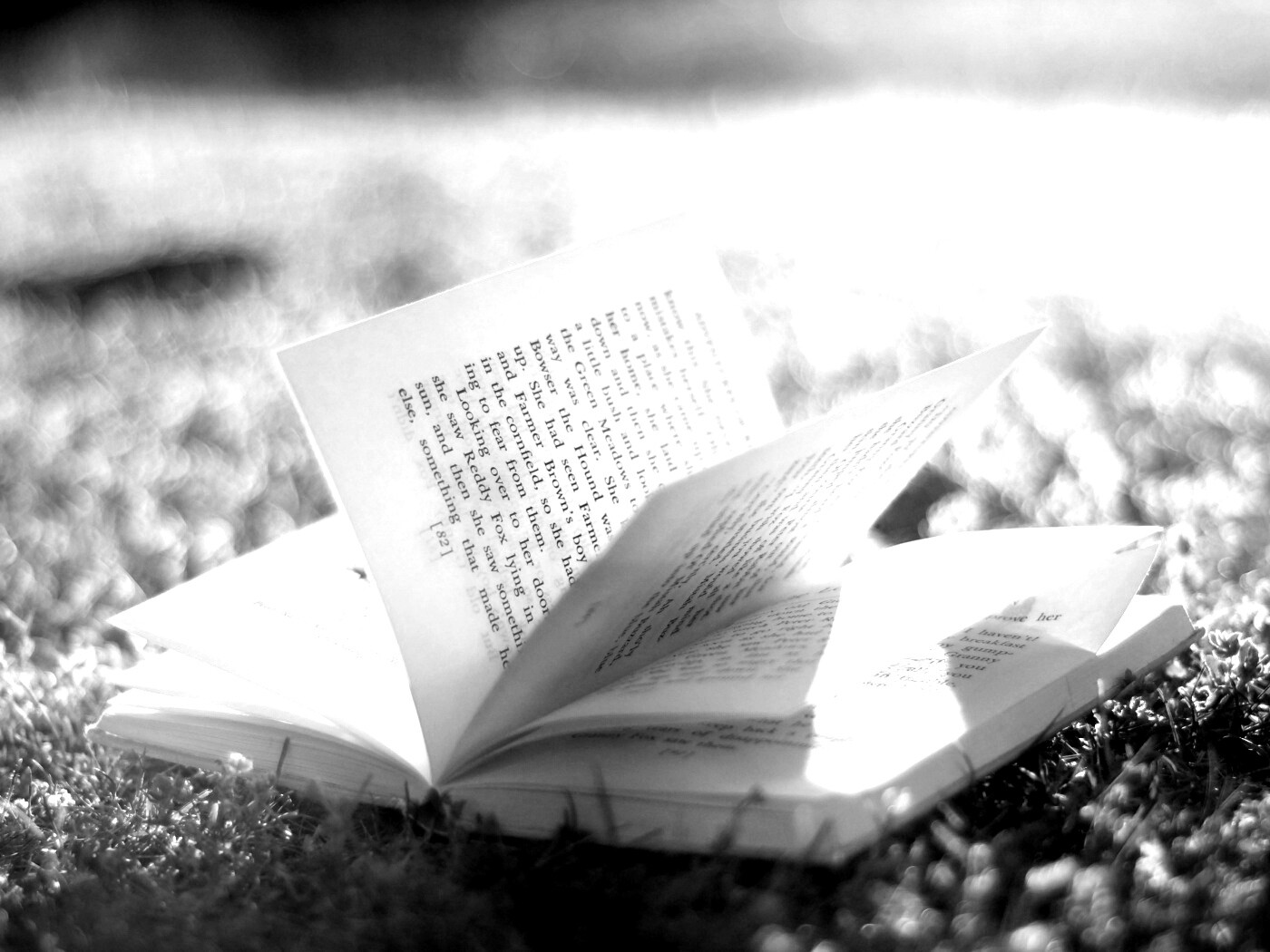 Книга в нежном свете обои