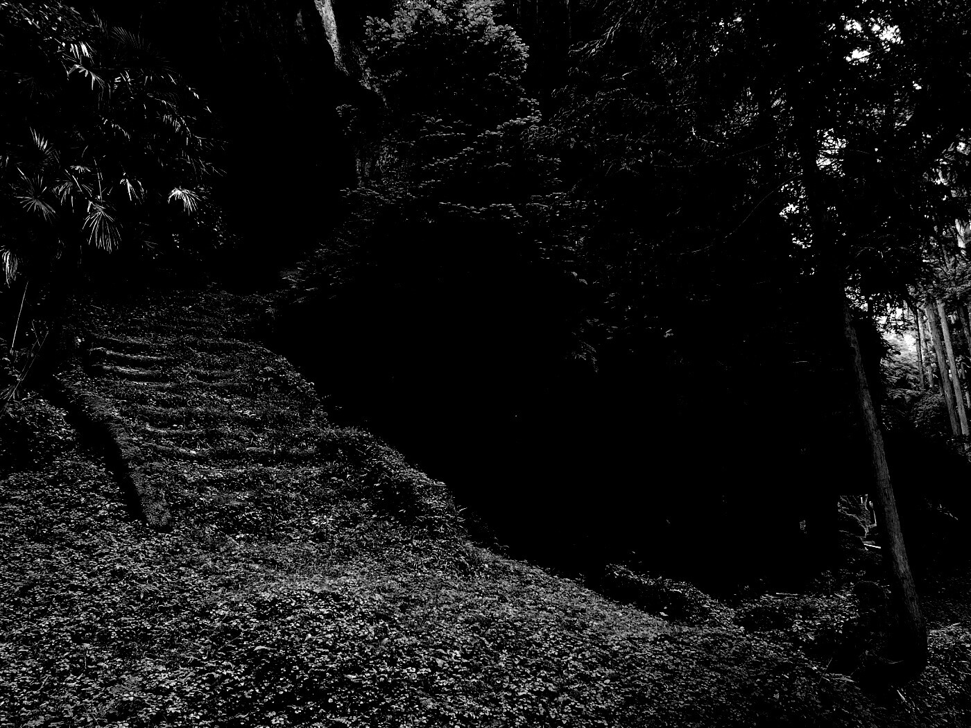 Старинный лесной храм обои