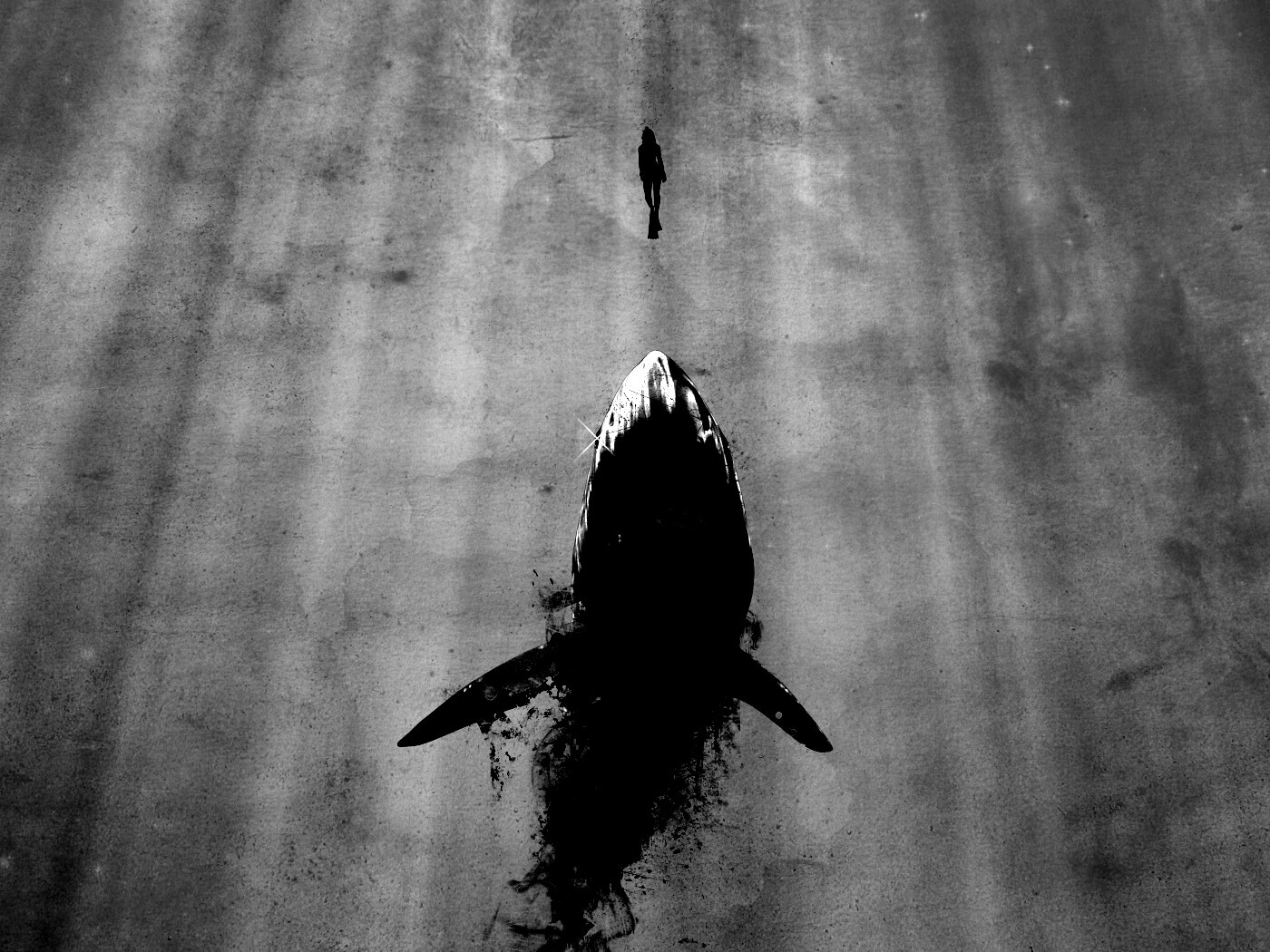 Акула гонится за человеком обои