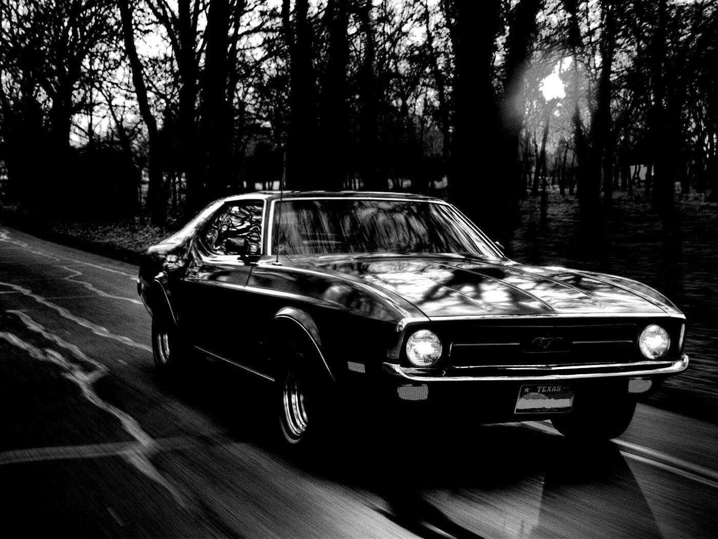 Мустанг обои