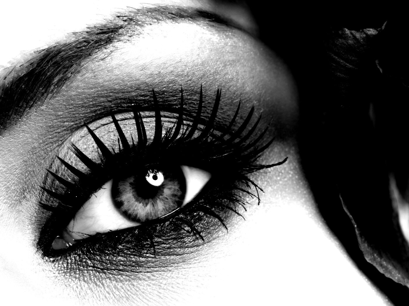 Макияж и цветок обои