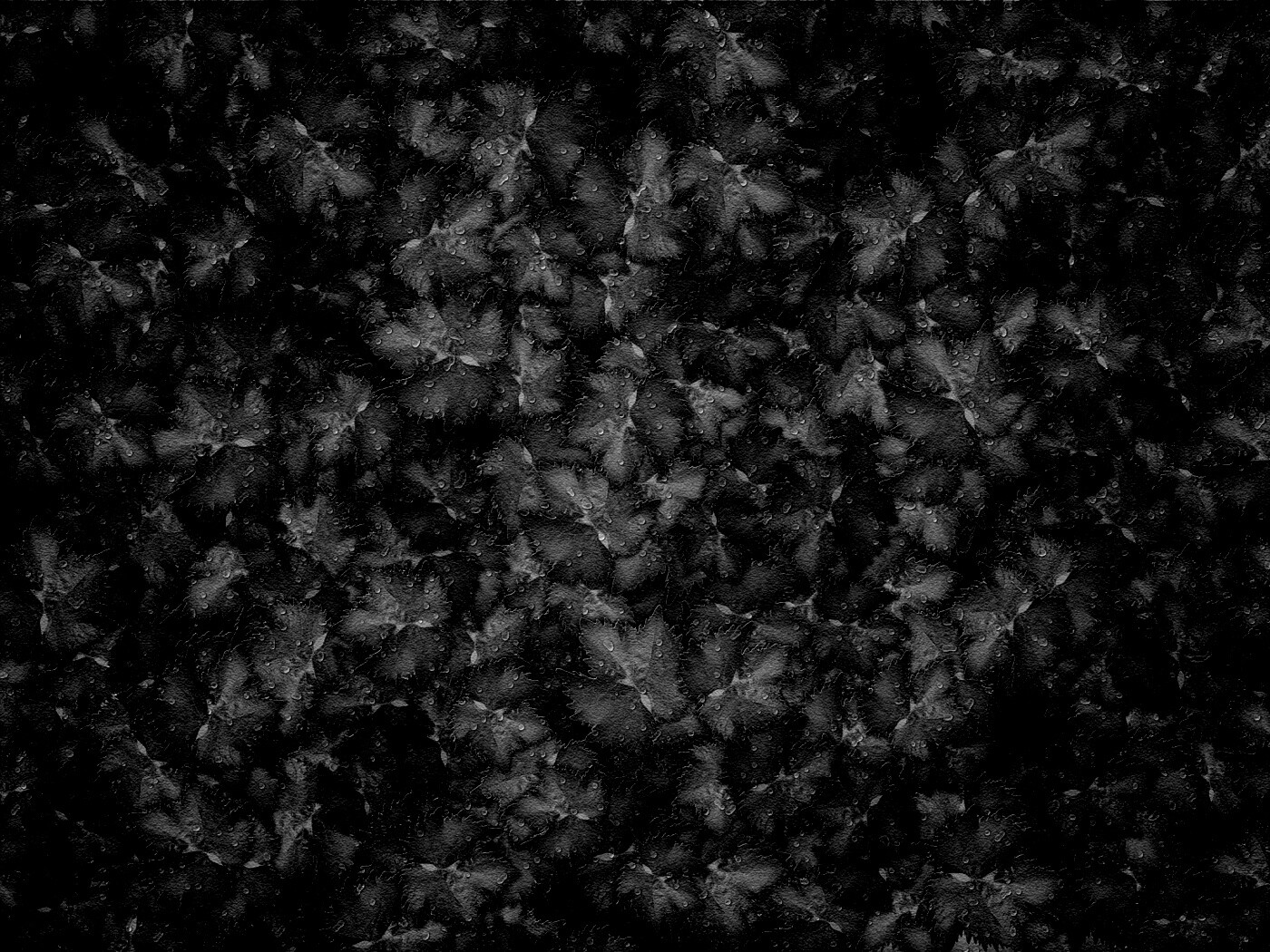 Осенние листья обои